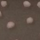 Illustration for article titled Scientists are Growing Tiny Cerebral Cortexes in Petri Dishes